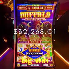 Apostas esportivas da big win com odds competitivas