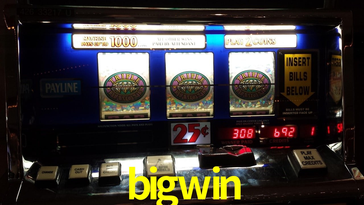 Experiência VIP bigwin